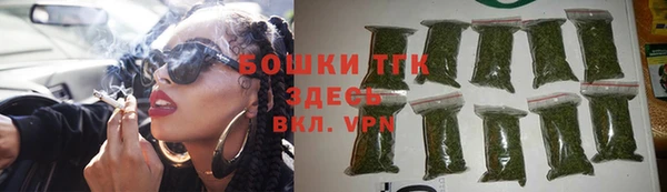 мдпв Ладушкин