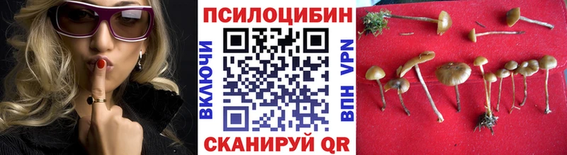 Псилоцибиновые грибы Psilocybe Ливны