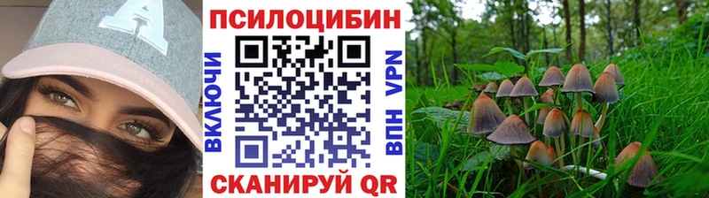 Псилоцибиновые грибы прущие грибы  OMG ТОР  Ливны 