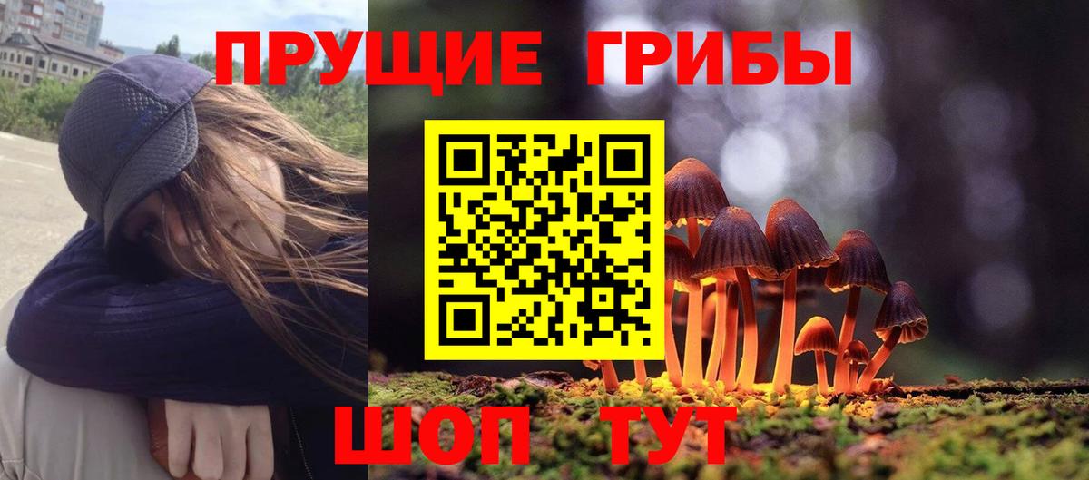 Ливны  Галлюциногенные грибы Psilocybe  Вход с VPN  Галлюциногенные грибы Cubensis 